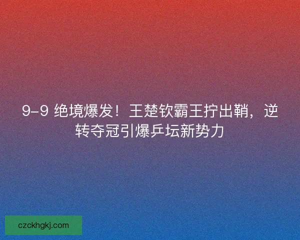 9-9 绝境爆发！王楚钦霸王拧出鞘，逆转夺冠引爆乒坛新势力